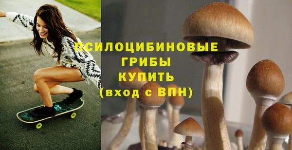 mdma Долгопрудный