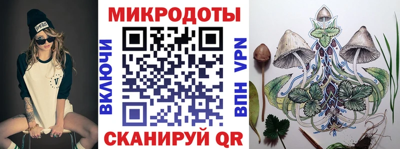 наркота  Змеиногорск  kraken   Псилоцибиновые грибы Psilocybe 